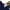 Adidas Streetwear Casual T-shirt Pria navy blue photo 4