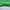 Casual Jumper Pria green photo 6