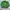 Casual Jumper Pria Green