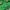 Casual Jumper Pria green photo 4