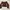Casual Crop top Wanita brown photo 1