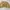 ADA Fashion Casual Crop top Wanita yellow photo 1