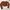 Casual Crop top Wanita brown photo 1