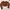 Casual Crop Top Wanita Brown