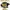 Sportswear Jersey Pria black yellow photo 1