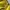Sportswear Jersey Pria black yellow photo 5