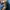 Carhartt Vintage Y2K Denim jacket Pria tan blue photo 2