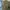 Carhartt Streetwear Y2K Trench coat Pria gold green photo 3