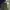 Carhartt Streetwear Y2K Trench coat Pria gold green photo 2
