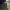 Carhartt Streetwear Y2K Trench Coat Pria Gold Green