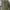 Carhartt Streetwear Y2K Trench coat Pria gold green photo 1