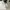 Verutum Casual Hat Pria white photo 6