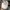 Verutum Casual Hat Pria white photo 5