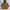 Snow Peak Casual Hoody Pria brown photo 1