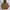 Snow Peak Casual Hoody Pria Brown