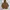 Snow Peak Casual Hoody Pria brown photo 3