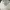 Casual Hat Wanita white photo 5