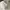 Casual Hat Wanita white photo 7