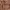 Casual Formal shirt Pria brown photo 5