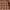 Casual Formal shirt Pria brown photo 4