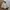 Wolsey Vintage Casual Harrington Jacket Pria Multicolor Khaki