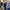 J.Crew Vintage Casual Harrington jacket Pria navy photo 2