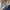 J.Crew Vintage Casual Harrington jacket Pria navy photo 5