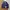 J.Crew Vintage Casual Harrington jacket Pria navy photo 1