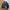 J.Crew Vintage Casual Harrington Jacket Pria Navy
