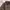 Umbro Y2K Casual Track jacket Pria brown photo 2