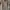 Sean John Vintage Streetwear Parka Pria tan photo 2