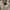Sean John Vintage Streetwear Parka Pria tan photo 3