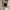 Sean John Vintage Streetwear Parka Pria tan photo 1