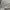 Nike Streetwear Sweatshirt Pria gray photo 4