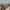 Bershka Streetwear Casual Flare pants Wanita brown photo 2