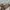 Bershka Streetwear Casual Flare Pants Wanita Brown