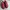 Adidas Sportswear Sneakers Pria white red photo 3