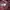 Jack Wolfskin Gorpcore Sportswear Windbreaker Pria burgundy photo 6