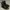 Dr. Martens Streetwear Boots Wanita black photo 1