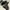 Dr. Martens Streetwear Boots Wanita black photo 4