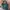 L.L.Bean Minimalist Casual Tote Bag Wanita Multicolor