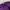 KIRSH Streetwear Sweatshirt Pria purple photo 5