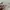 Fear of God ESSENTIALS Streetwear Sweatshirt Pria cream photo 3
