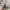 Fear of God ESSENTIALS Streetwear Sweatshirt Pria cream photo 4