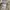Polham Streetwear Sweatshirt Pria cream photo 5