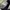 Adidas Sportswear Sneakers Pria white black photo 3
