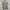 Casual Polo shirt Pria gray photo 2