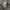 Casual Polo shirt Pria gray photo 5