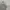 Casual Polo shirt Pria gray photo 1