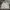 Vintage Harrington jacket Pria cream photo 1